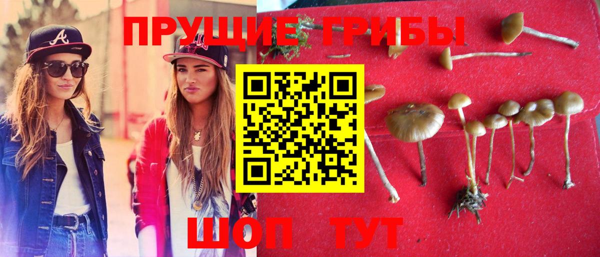 Псилоцибиновые грибы GOLDEN TEACHER  Вход с VPN  Среднеуральск 