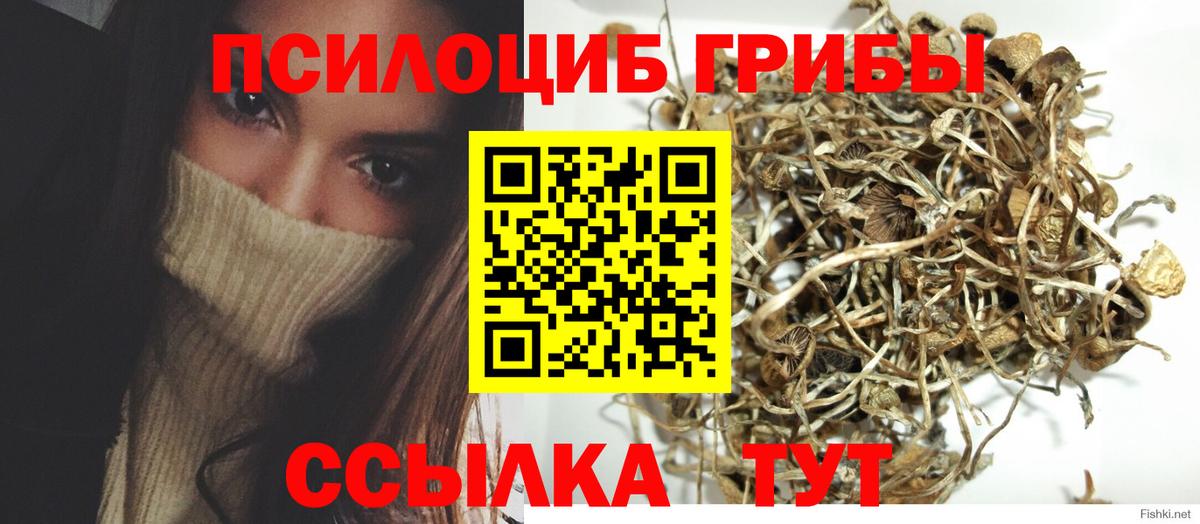 Псилоцибиновые грибы GOLDEN TEACHER Среднеуральск